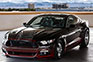 Ford Mustang King Cobra Parts