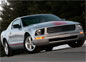 Ford Warriors In Pink Mustang