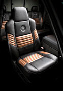 2008 FORD Harley Davidson Super Duty 3