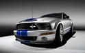 2008 Ford Shelby GT500KR 14