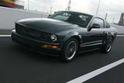 2008 Mustang Bullitt 11