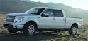 2009 Ford F 150 12