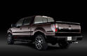 2010 Ford Harley Davidson F150 11