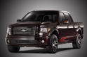 2010 Ford Harley Davidson F150 18