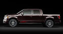 2010 Ford Harley Davidson F150 19
