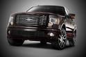 2010 Ford Harley Davidson F150 7