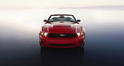 2010 Ford Mustang 13