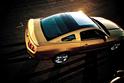 2010 Ford Mustang Glass Roof 2