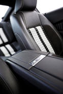 2010 Ford Shelby GT500 10