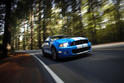 2010 Ford Shelby GT500 12