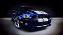 2010 Ford Shelby GT500 21