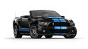 2010 Ford Shelby GT500 4