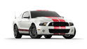 2010 Ford Shelby GT500 5