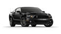 2010 Ford Shelby GT500 6