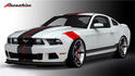 2011 Ford Mustang Raceskinz