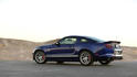 2014 Shelby GT 14