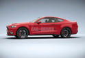 2015 Ford Mustang Leaked 13