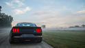 2015 Roush Mustang 10