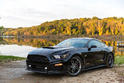 2015 Roush Mustang 13