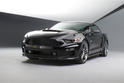 2015 Roush Mustang 9