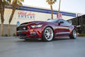 2015 Shelby Super Snake 12