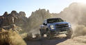 2017 Ford F150 Raptor 15