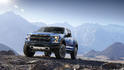 2017 Ford F150 Raptor 8