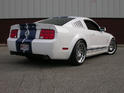 CDC StangNet Glassback Shelby GT500 2