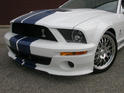 CDC StangNet Glassback Shelby GT500 3