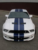 CDC StangNet Glassback Shelby GT500 5