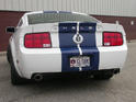 CDC StangNet Glassback Shelby GT500 6