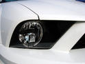 CDC StangNet Glassback Shelby GT500 8