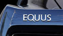 Equus Bass 770 9