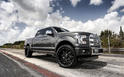 Exclusive Motoring 2015 Ford F150 Accessories 11