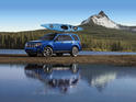 Ford Escape Blind 4
