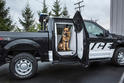 Ford F150 Police Car 2