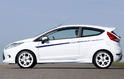Ford Fiesta S1600 5