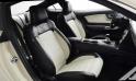Ford Mustang 50 Year Limited Edition 18