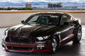 Ford Mustang King Cobra 1