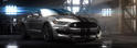 Ford Mustang Shelby GT350 16