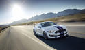 Ford Mustang Shelby GT350 26