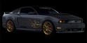 Ford Vehicle Personalization 2010 Ford Mustang
