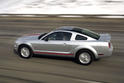 Ford Warriors In Pink Mustang 2