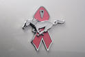 Ford Warriors In Pink Mustang 8