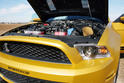 Geiger Shelby GT640 9