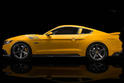 Saleen S302 Black Label 11