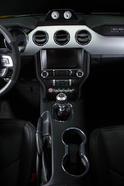 Saleen S302 Black Label 17