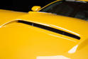 Saleen S302 Black Label 24