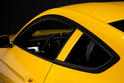 Saleen S302 Black Label 4