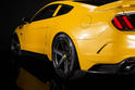 Saleen S302 Black Label 5